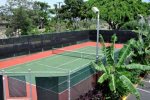 Free tennis on site